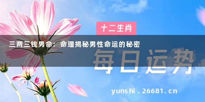 三两三钱男命:命理揭秘男性命运的秘密