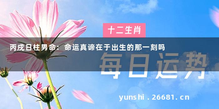 丙戌日柱男命:命运真谛在于出生的那一刻吗