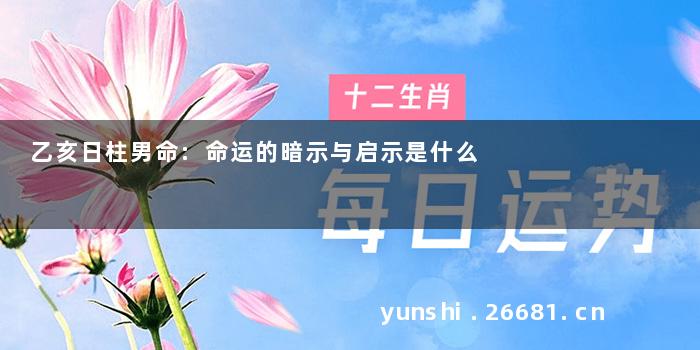 乙亥日柱男命:命运的暗示与启示是什么