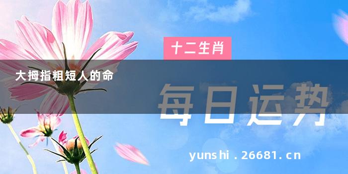 大拇指粗短人的命