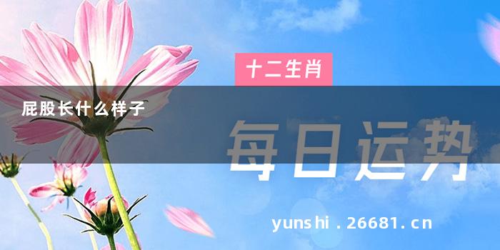 屁股长什么样子