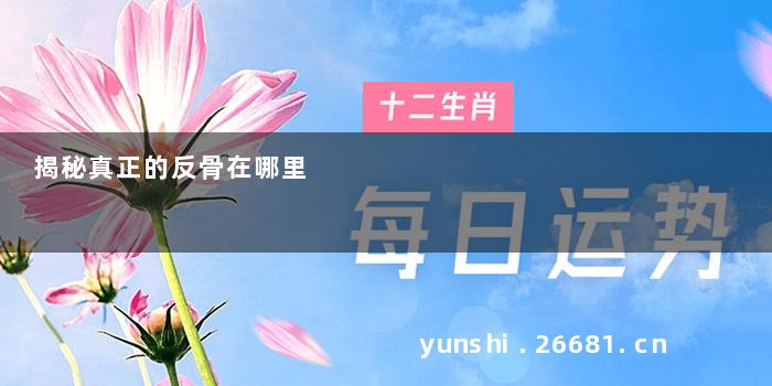 揭秘真正的反骨在哪里