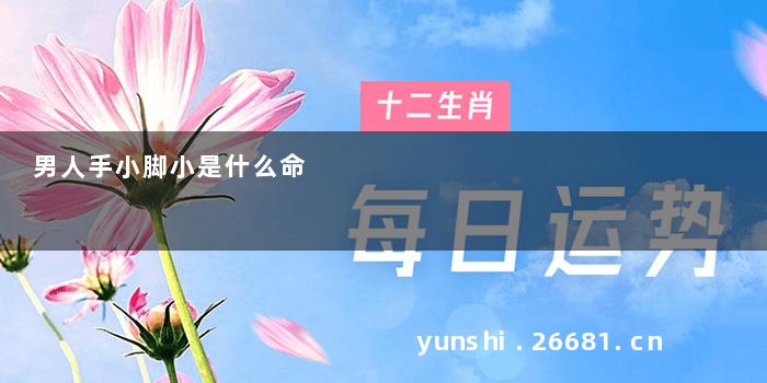 男人手小脚小是什么命