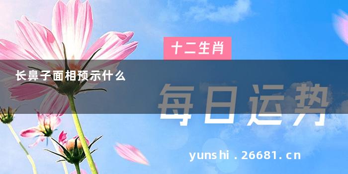 长鼻子面相预示什么